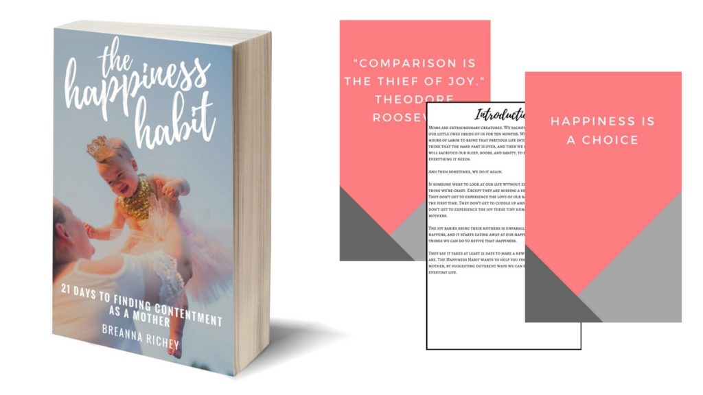 the-happiness-habit-cover-4
