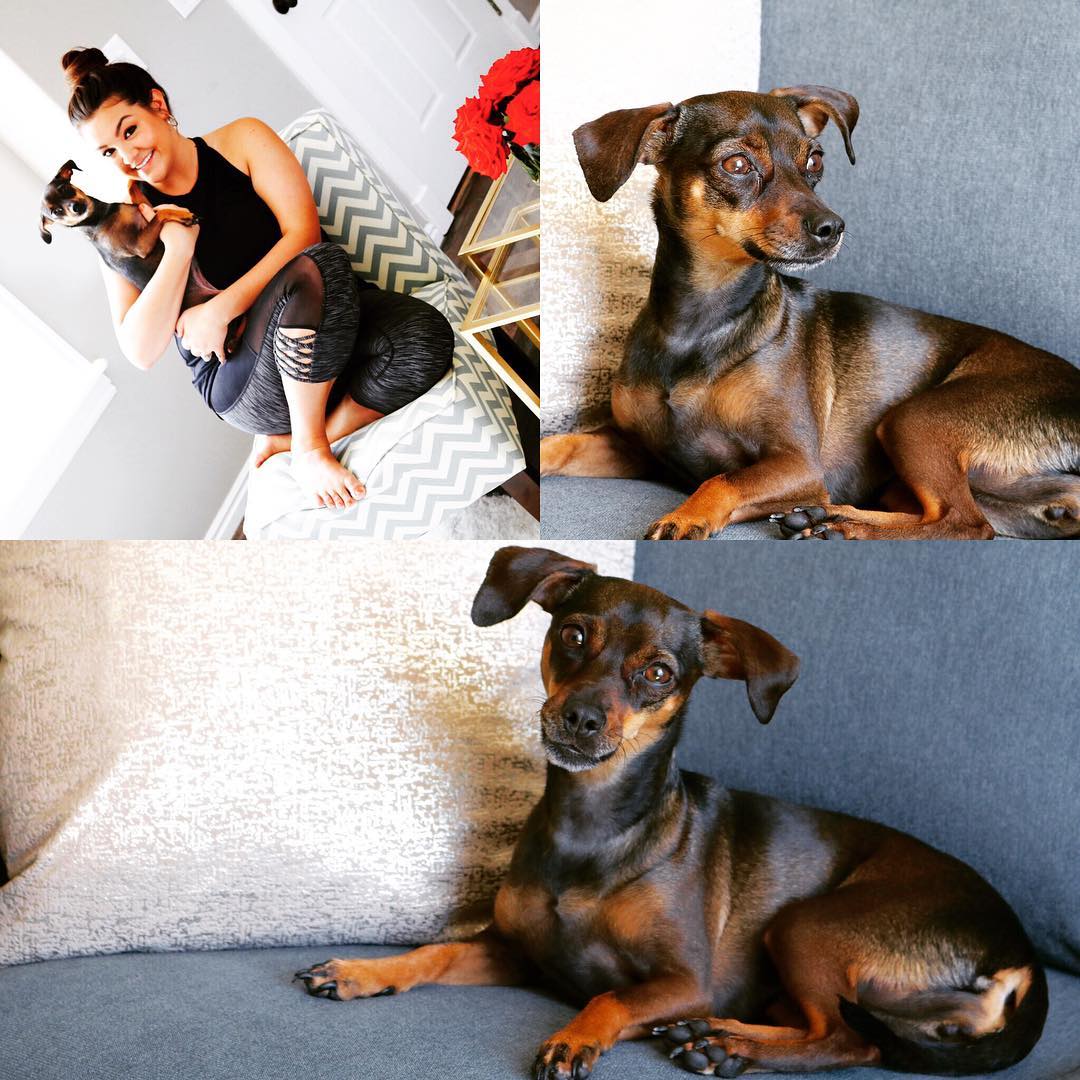Instagram Image